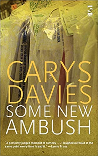 Some New Ambush (Salt Modern Fiction S.)