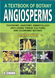 Angiosperms : A Textbook of Botany